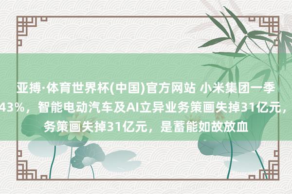 亚搏·体育世界杯(中国)官方网站 小米集团一季度净利润同比降43%，智能电动汽车及AI立异业务策画失掉31亿元，是蓄能如故放血