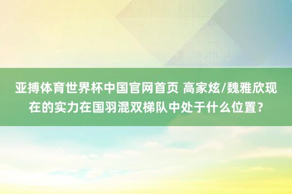 亚搏体育世界杯中国官网首页 高家炫/魏雅欣现在的实力在国羽混双梯队中处于什么位置？