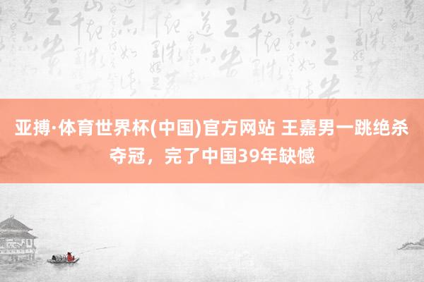 亚搏·体育世界杯(中国)官方网站 王嘉男一跳绝杀夺冠，完了中国39年缺憾